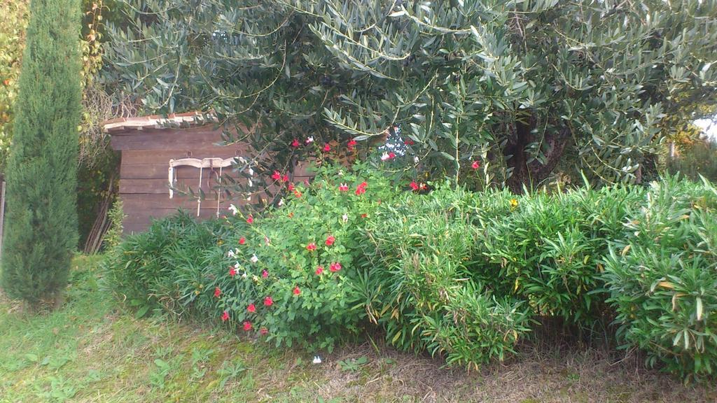 Bed and Breakfast Poggio Dei Prugnoli Tavoleto Zewnętrze zdjęcie