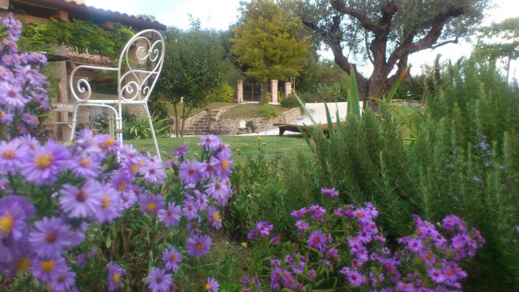 Bed and Breakfast Poggio Dei Prugnoli Tavoleto Zewnętrze zdjęcie