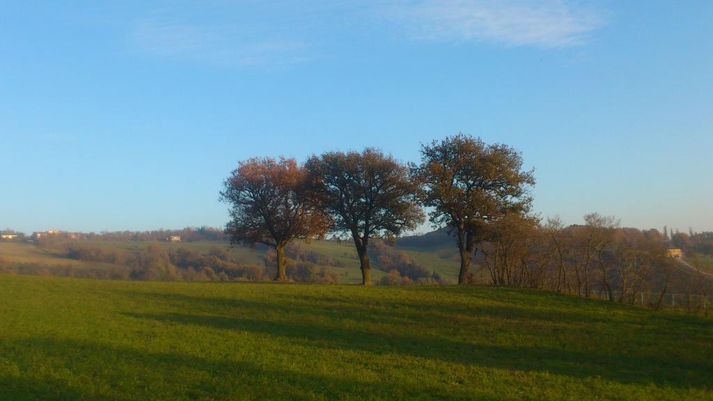 Bed and Breakfast Poggio Dei Prugnoli Tavoleto Zewnętrze zdjęcie