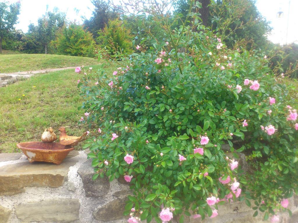 Bed and Breakfast Poggio Dei Prugnoli Tavoleto Zewnętrze zdjęcie