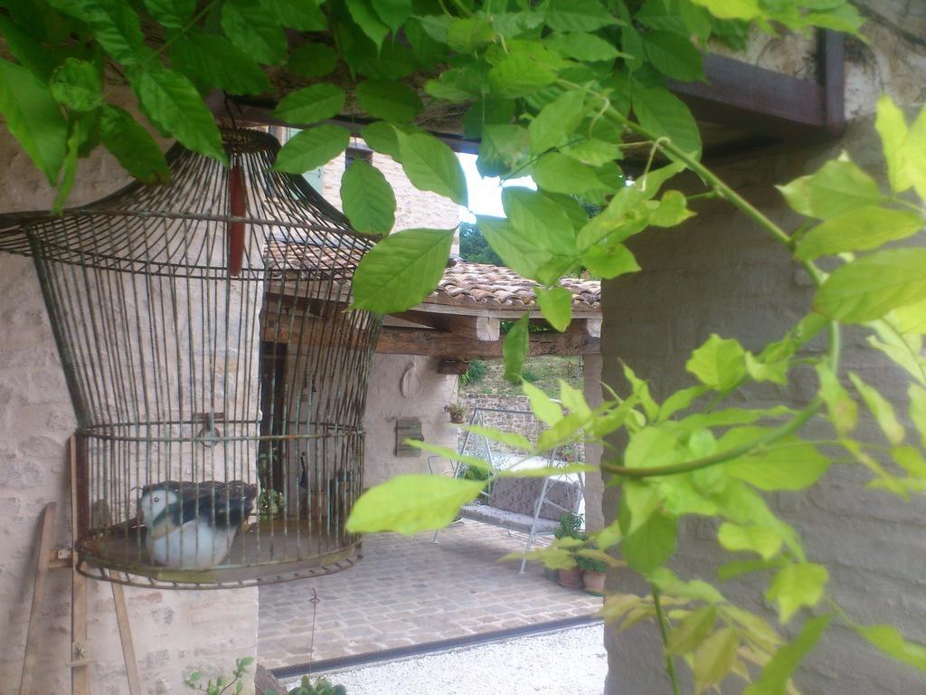 Bed and Breakfast Poggio Dei Prugnoli Tavoleto Zewnętrze zdjęcie