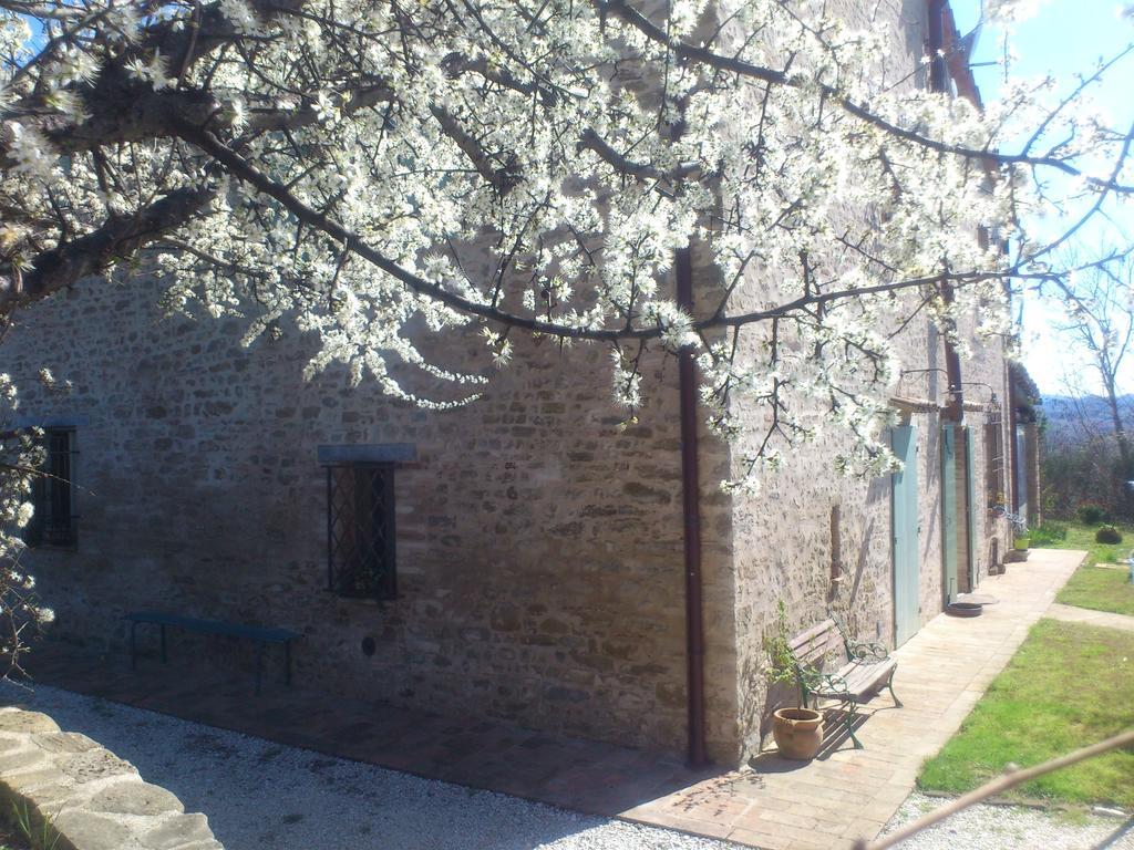 Bed and Breakfast Poggio Dei Prugnoli Tavoleto Zewnętrze zdjęcie