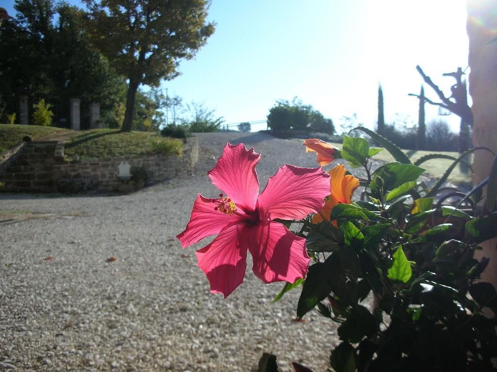Bed and Breakfast Poggio Dei Prugnoli Tavoleto Zewnętrze zdjęcie